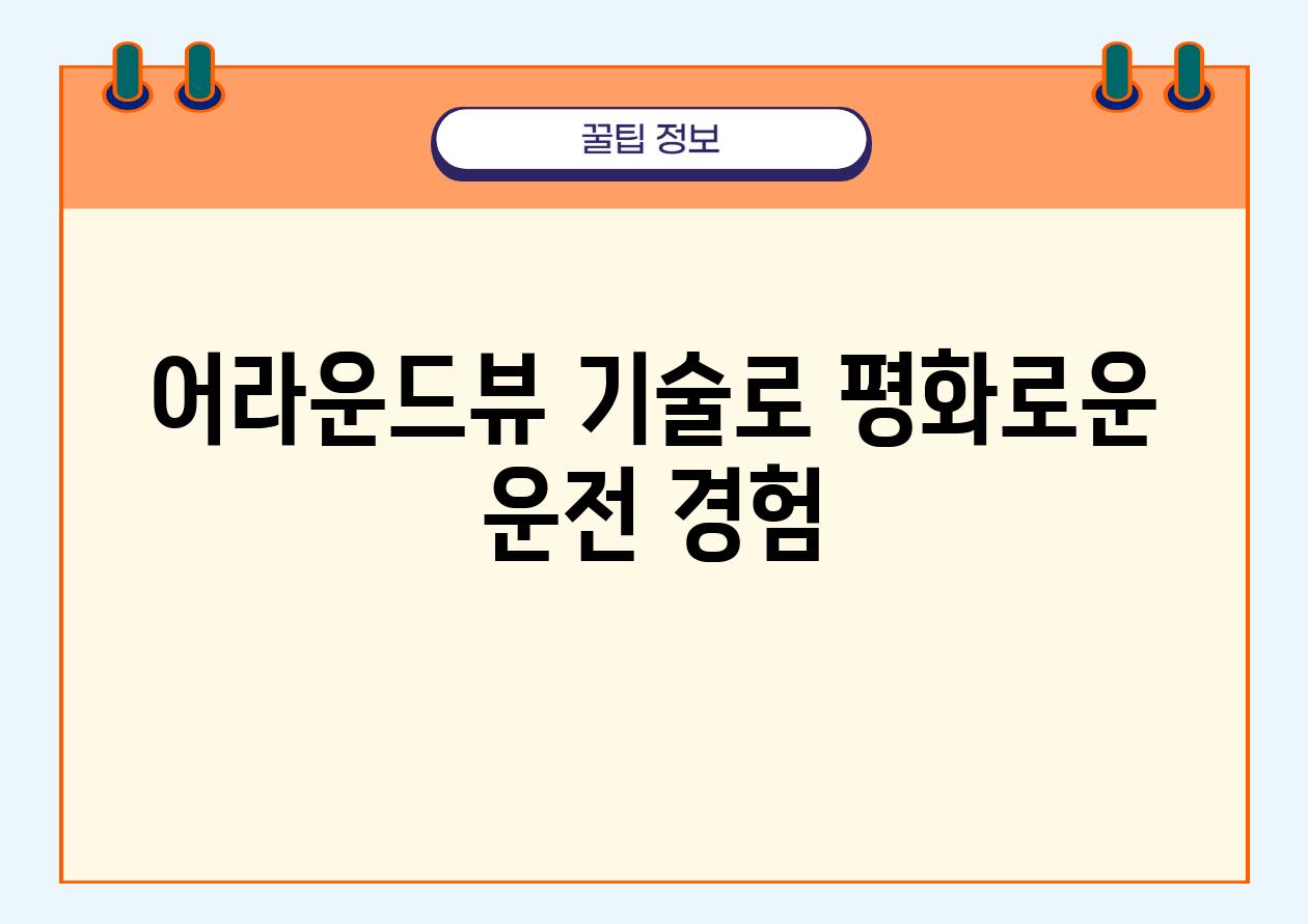 어라운드뷰 기술로 평화로운 운전 경험