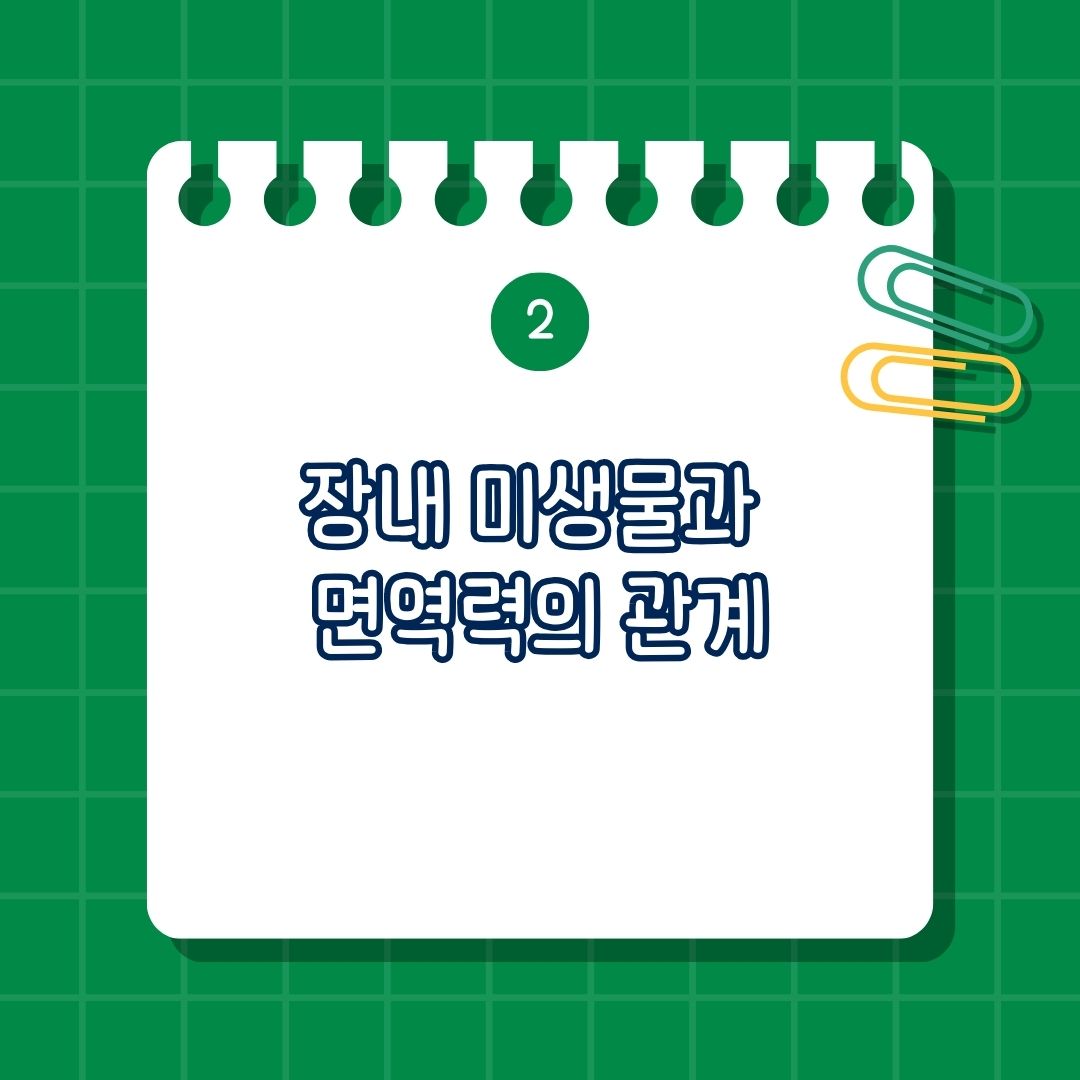 장내 미생물과 면역력의 관계는 면역세포의 활성화와 조절, 항염증 효과, 병원체 방어