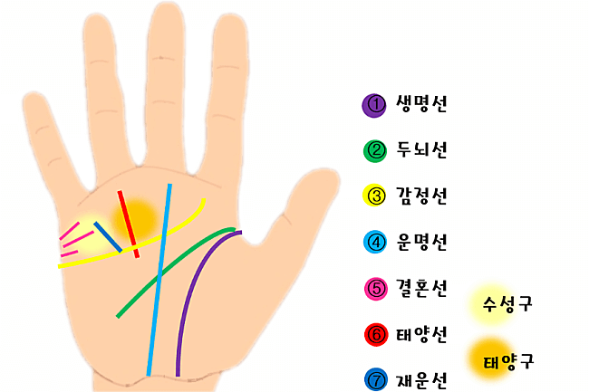 부자손금 보는 법