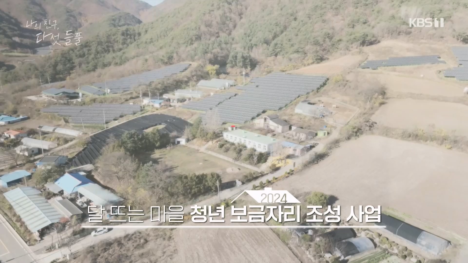 특집 다큐 나의 친구, 다섯 들풀.240119p.H264-F1RST.mp4_20240121_151741.159.jpg