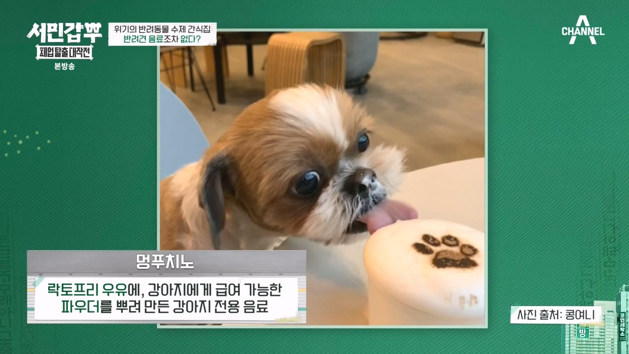 서민갑부 폐업 탈출 대작전.E11.230931p-NEXT.mp4_20231001_181023.692.jpg
