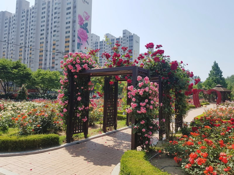 주말 가볼만한곳 베스트10 대구여행 가볼만한곳 팔공산 19