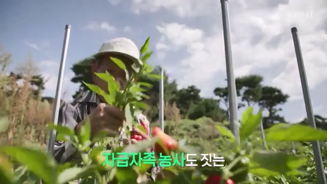 생로병사의 비밀 2024-10-23.mp4_20241024_201015.542.jpg