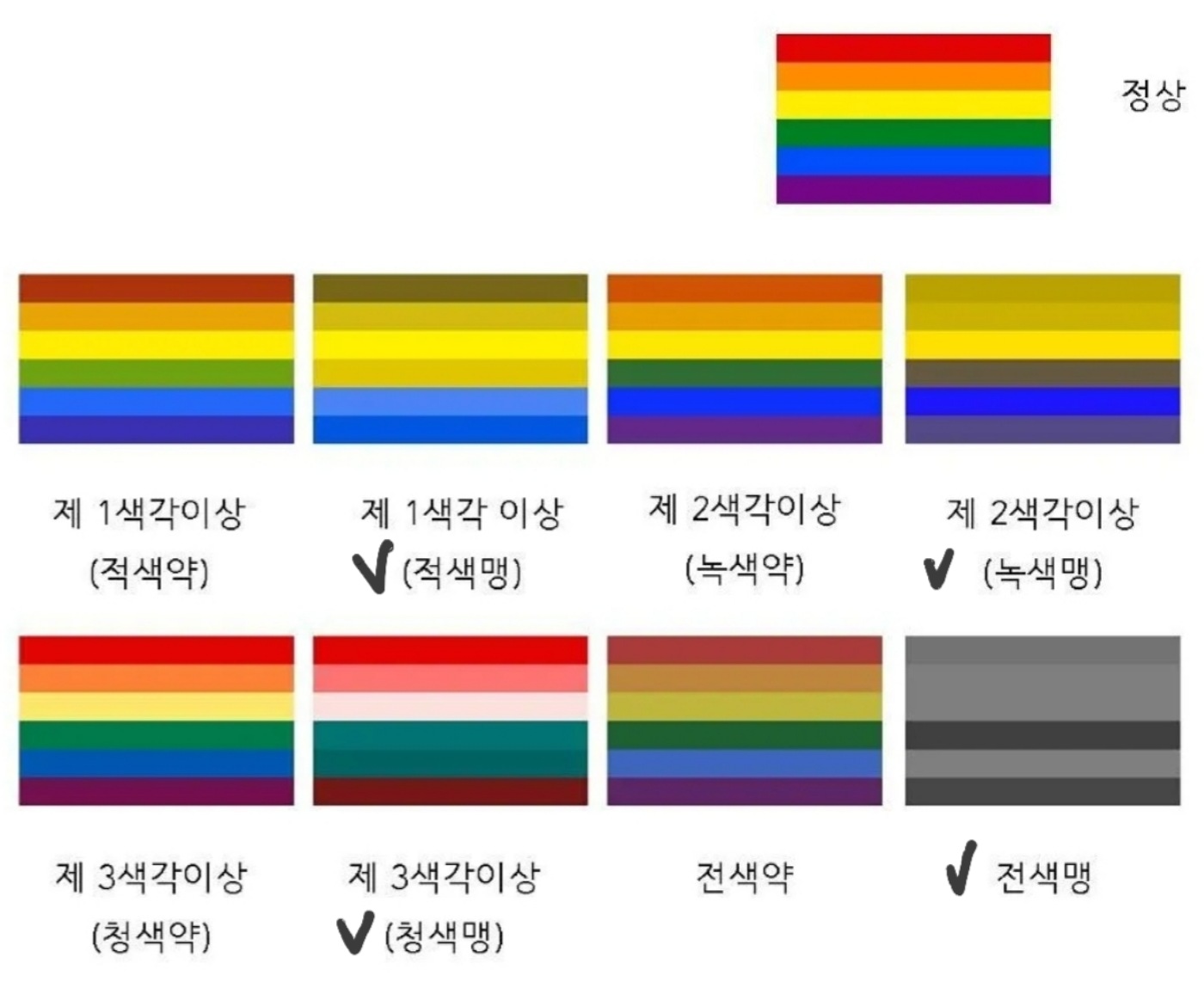 색맹과 색약인 사람의 눈에 보이는 색상 차이에 따른 색각 이상 분류