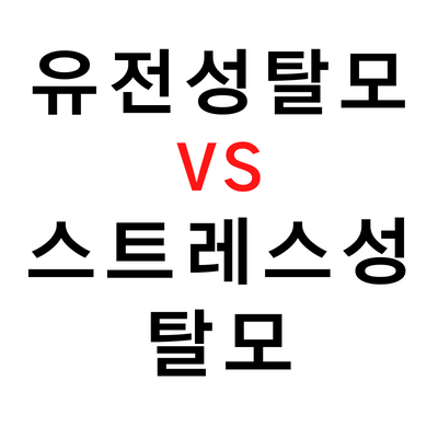  유전성 탈모 VS 스트레스성 탈모 / 탈모 생활습관/