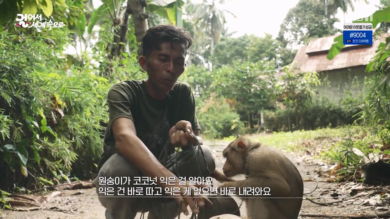 걸어서 세계속으로.E820.231203p-NEXT.mp4_20231202_172815.532.jpg