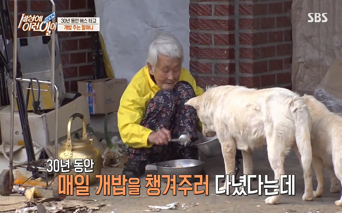 순간포착 세상에 이런일이.E1177.220427p-NEXT.mp4_20220427_182901.426.jpg