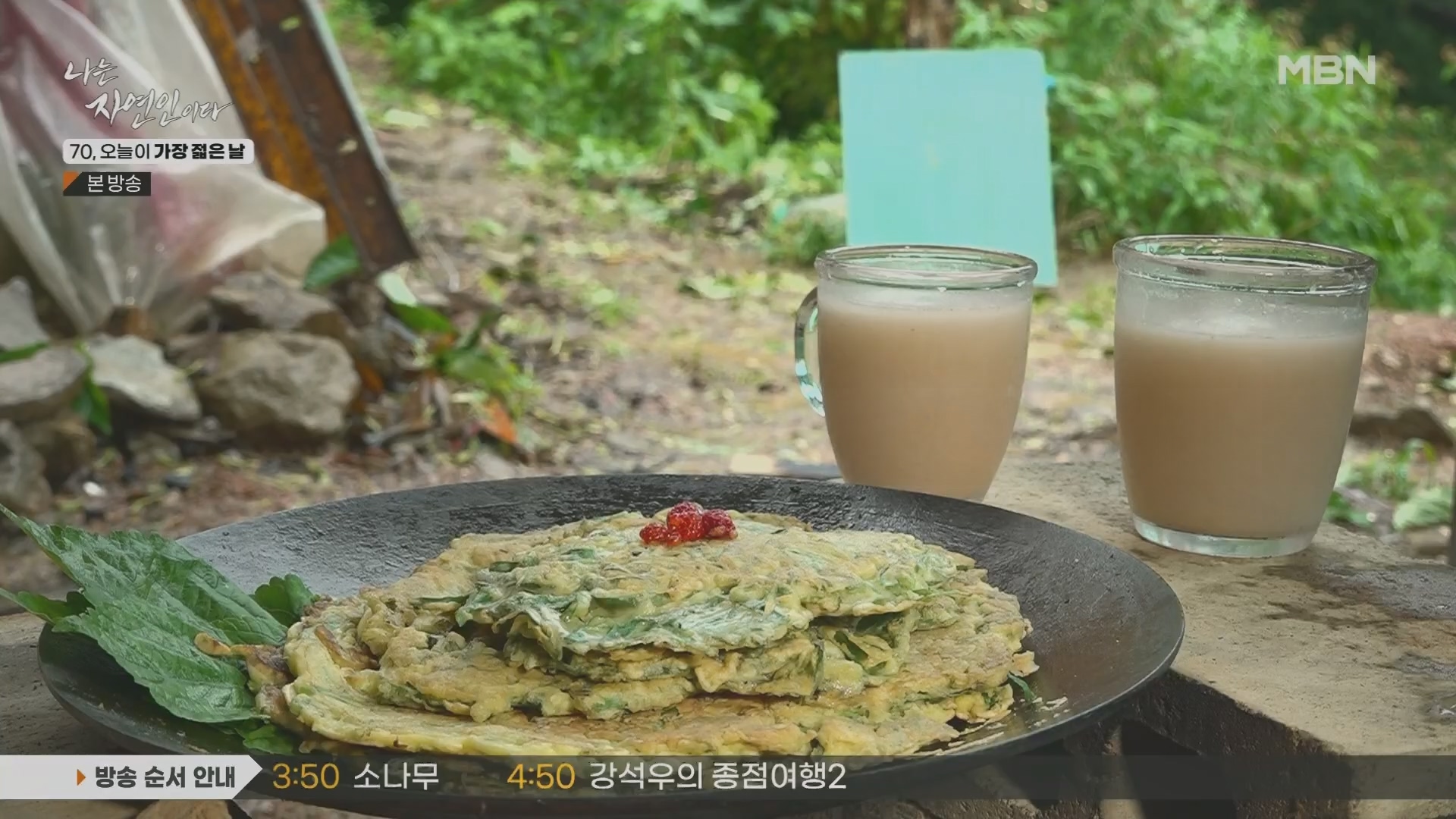 나는 자연인이다.E565.230802p.H264-F1RST.mp4_20230803_203408.516.jpg