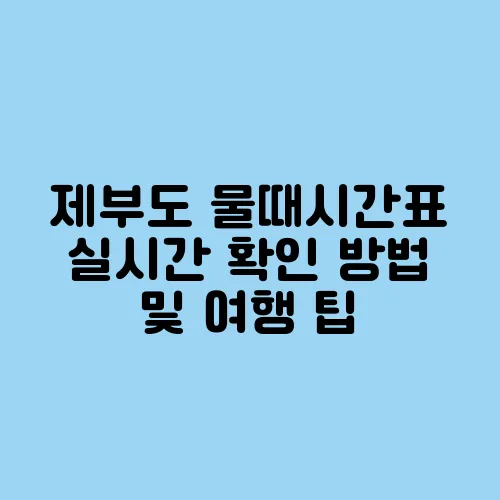 제부도 물때시간표 실시간 확인 방법 및 여행 팁