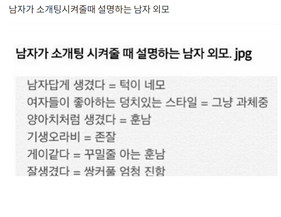  남자가 소개팅시켜줄때 설명하는 남자 외모