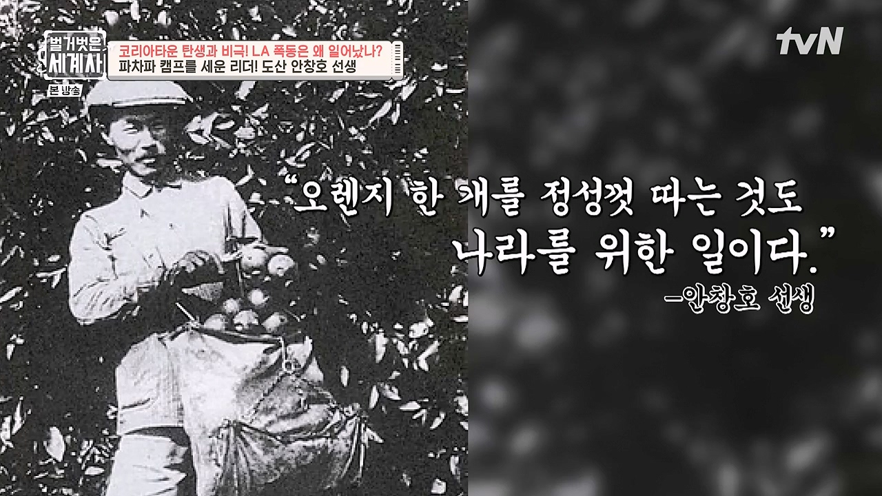 벌거벗은 세계사.E127.231129p-NEXT.mp4_20240608_164044.972.jpg