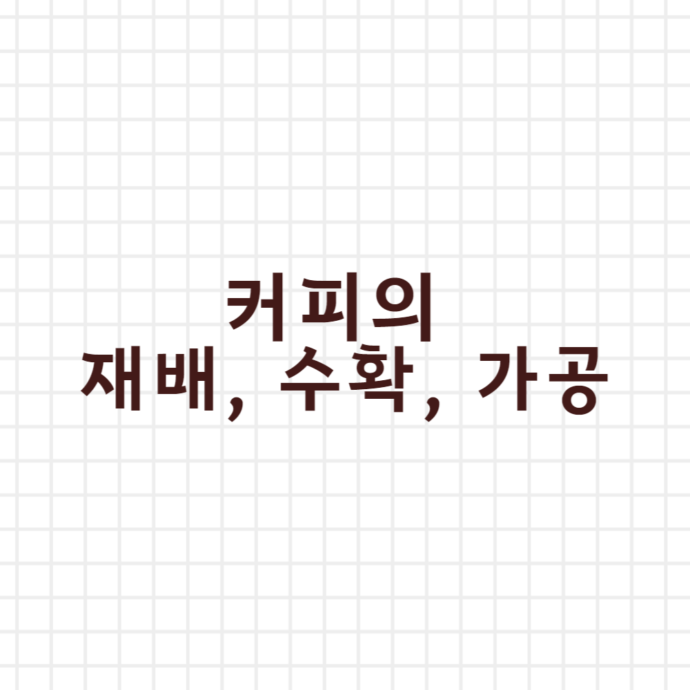  커피의 재배와 수확 그리고 가공