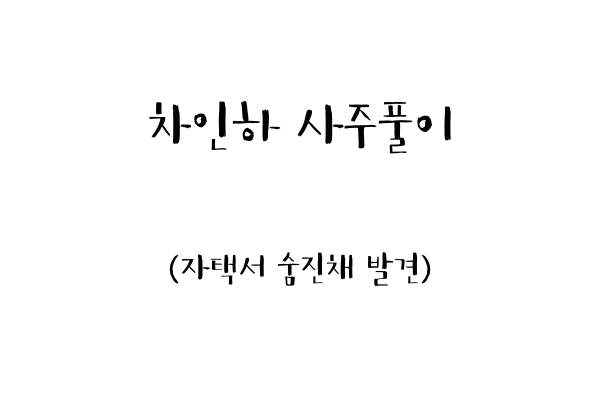  차인하 사주풀이 (자택서 숨진채 발견)