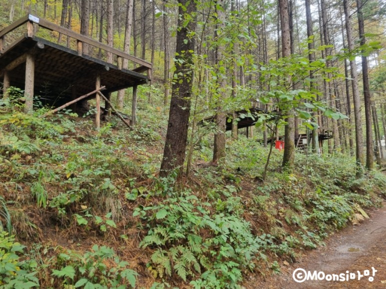 하늘그린캠프, 숲속의 24