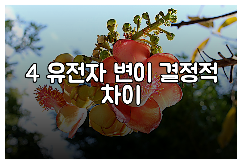 4 유전자 변이 결정적 차이
