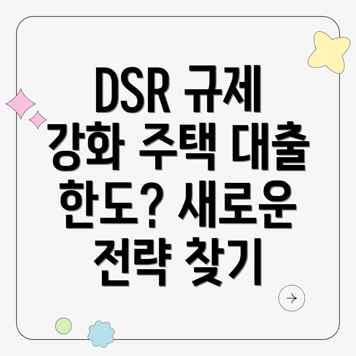 DSR 규제