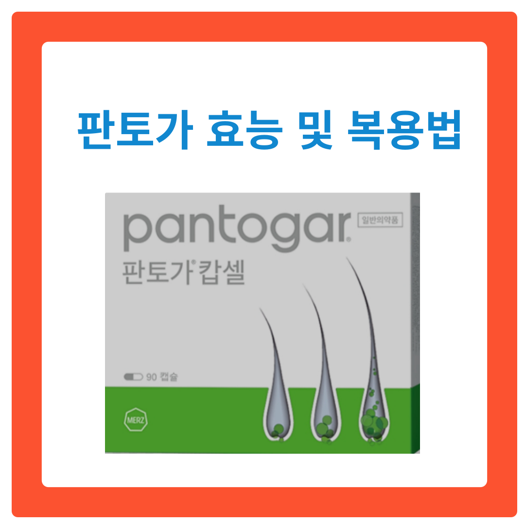  판토가 효능 및 복용법 알아보기