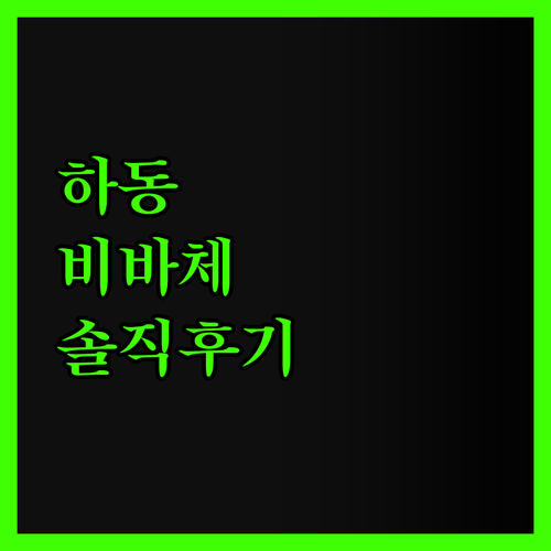 하동 비바체리조트 솔직 후기! 기대 