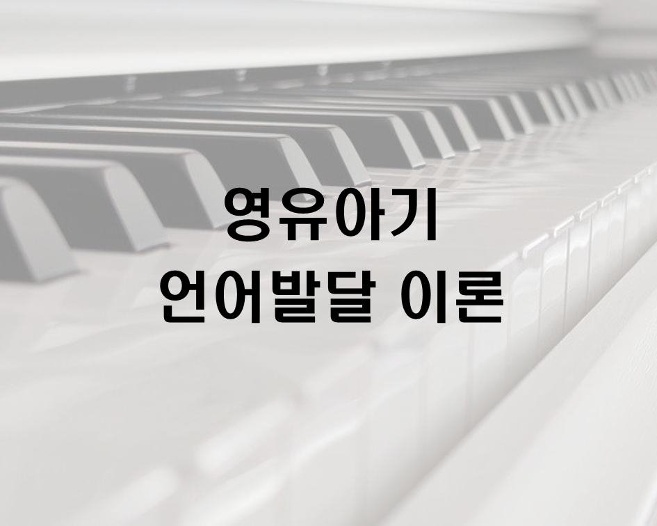  영유아기 언어발달 이론