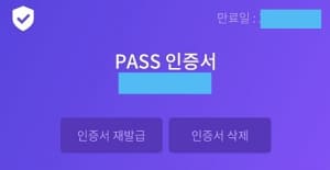 pass 인증서, 패스 인증서