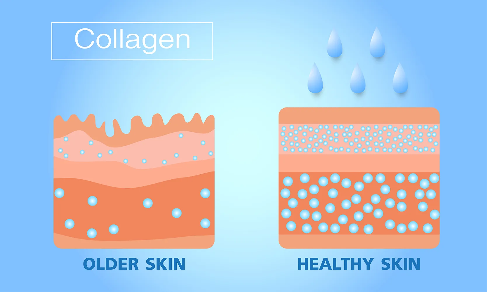 콜라겐-노화-피부-및-건강한-피부