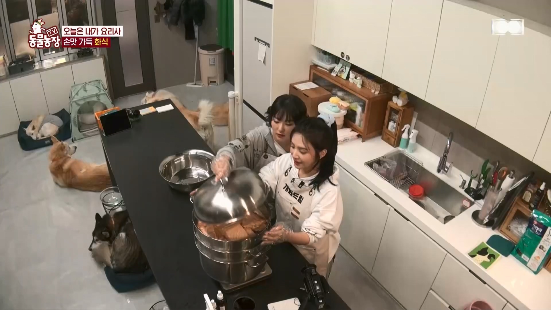 TV 동물농장.E1148.231203p.H264-F1RST.mp4_20231203_165840.032.jpg