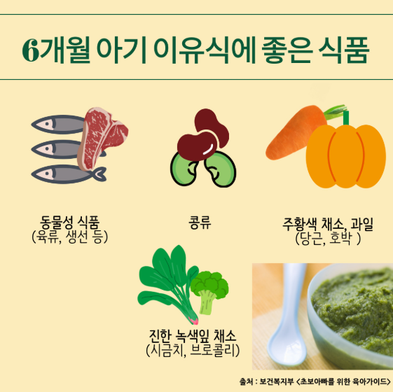 이유식 영양소