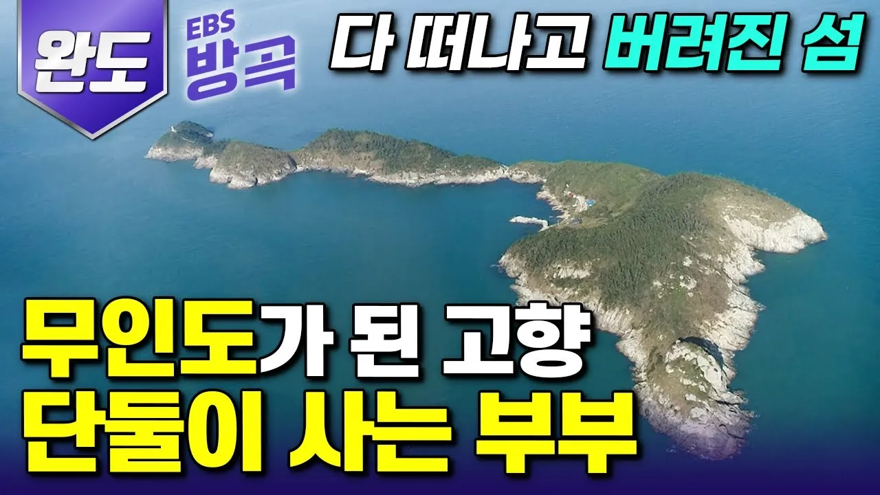 완도 가볼만한곳 베스트10 필수 관광명소 추천_7