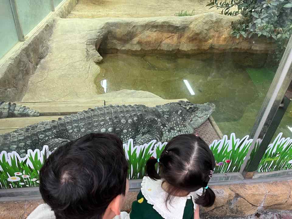 오월드 야간개장 동물원