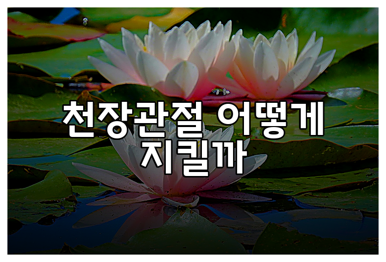천장관절 어떻게 지킬까