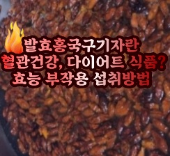진도-발효홍국구기자-효능