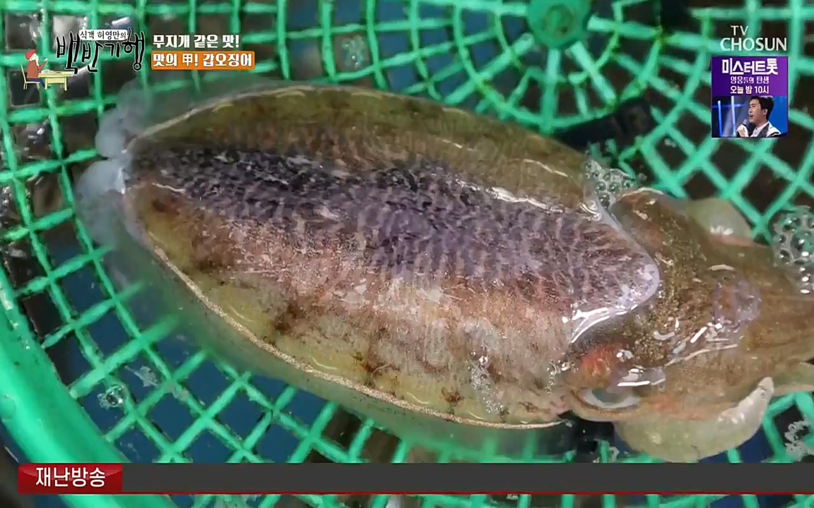 식객 허영만의 백반기행.E161.220723p-NEXT.mp4_20220723_173543.759.jpg