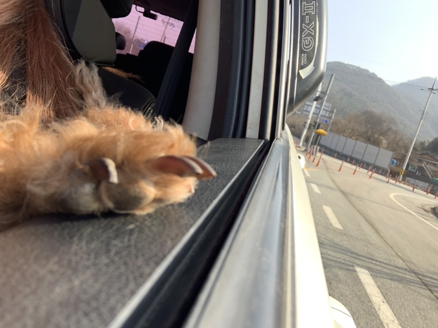 담양돈까스 이미지
