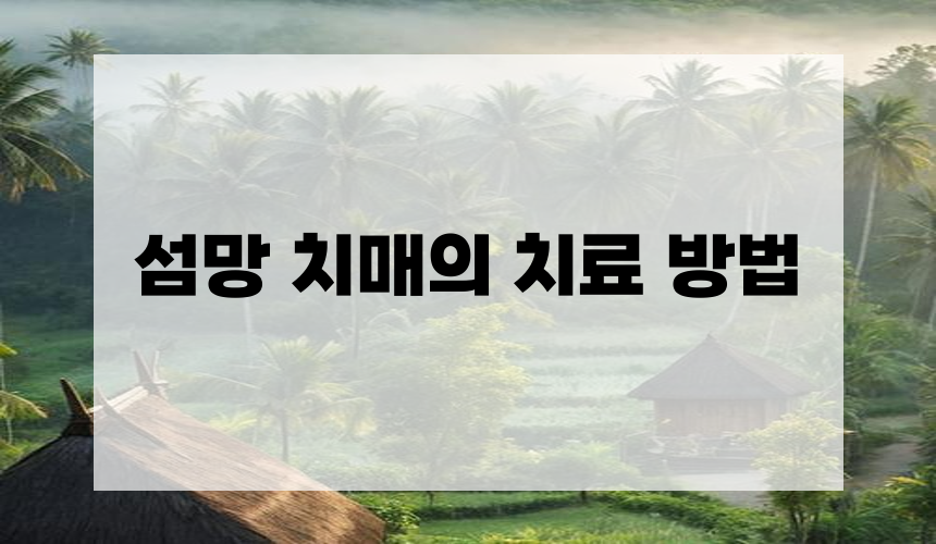 섬망 치매의 치료 방법