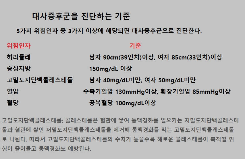  당뇨병 징후와 증상. 대사증후군 진단 기준.