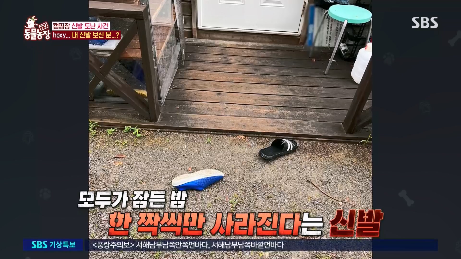 TV 동물농장.E1130.230723p.H264-F1RST.mp4_20230723_171216.047.jpg