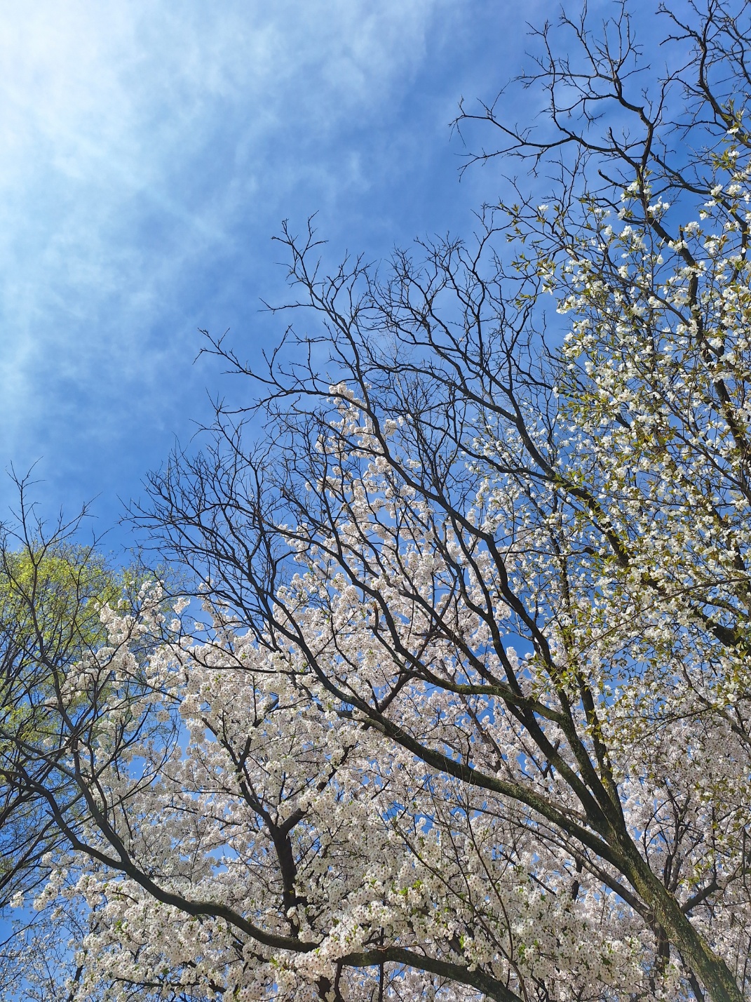 야시골공원 이미지