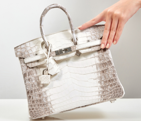 Himalaya Birkin 30의 탄생 배경