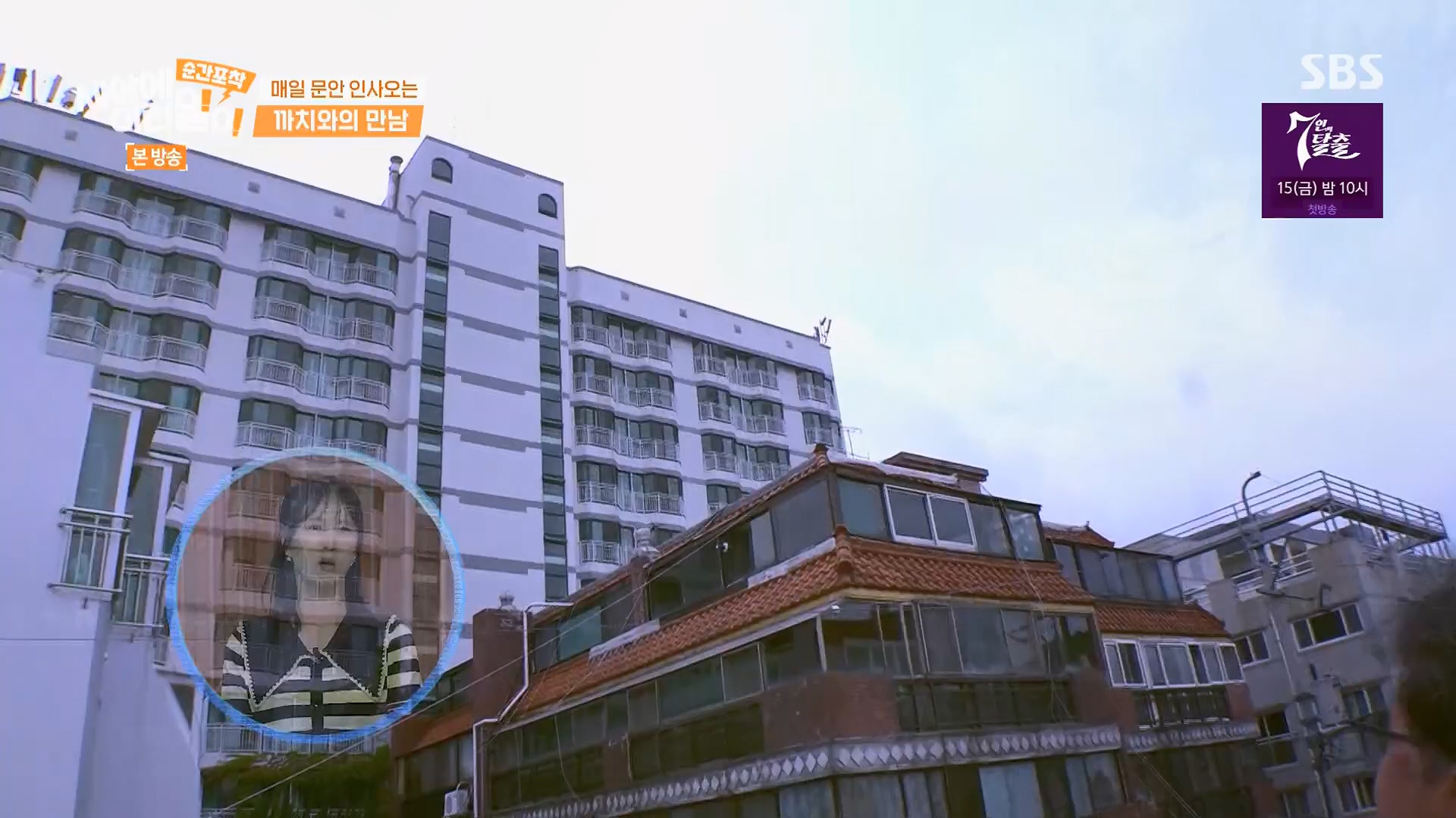 순간포착 세상에 이런일이.E1245.230909p.H264-F1RST.mp4_20230910_171527.649.jpg