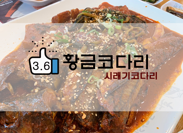 막걸리무한리필 코다리조림맛집 황금코다리