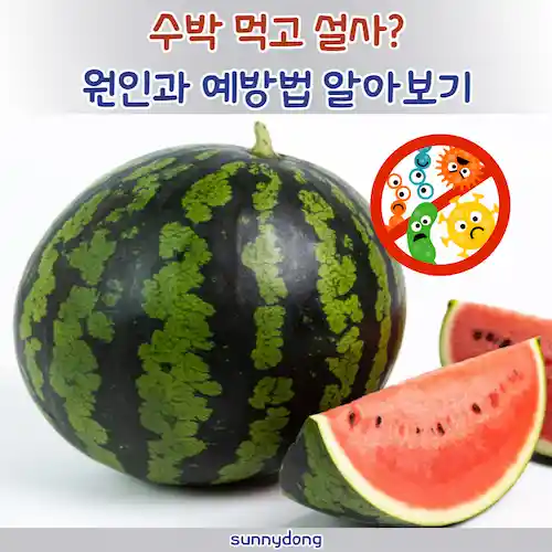 수박 먹고 설사, 원인과 예방법 알아보기