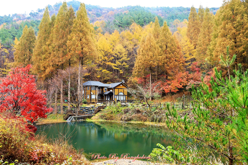  논산의 스위스 온빛자연휴양림