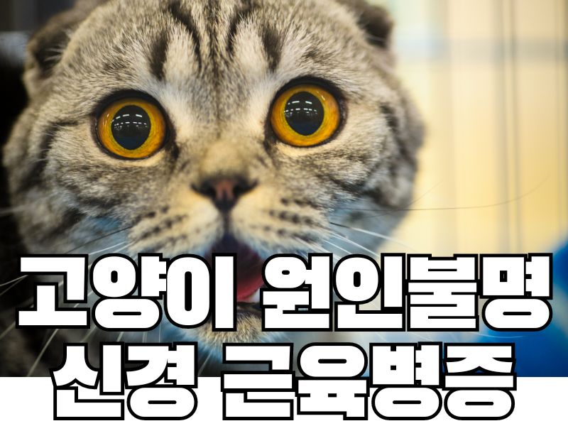 고양이 원인불명 신경 근육병증