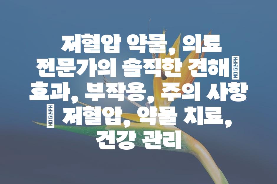 샘플 (45)