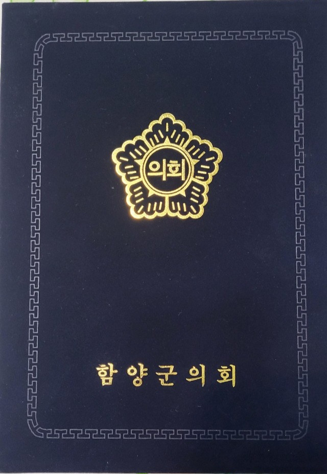 페스티발 이미지