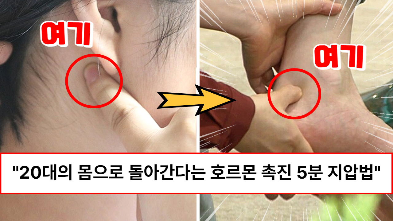 “젊어지고 싶은 분들은 그대로 따라하세요” 산부인과 의사가 알려주는 20살은 젊어진다는 5분 호르몬 지압 방법