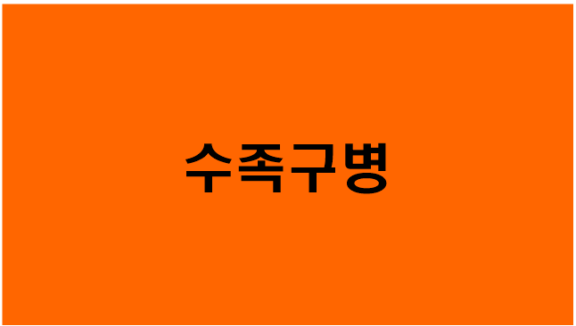  [수족구병] 초기증상/중기증상/말기증상/예방법/감염경로