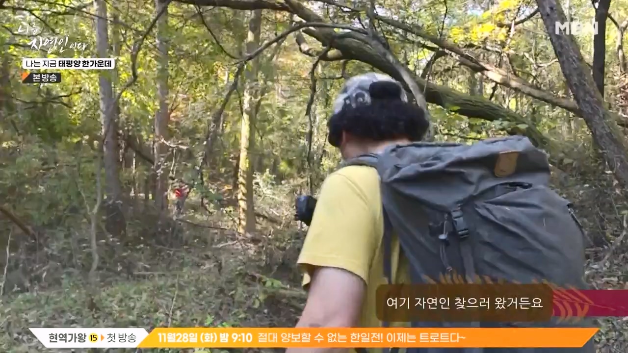 나는 자연인이다.E581.231123p-NEXT.mp4_20231123_200709.871.jpg