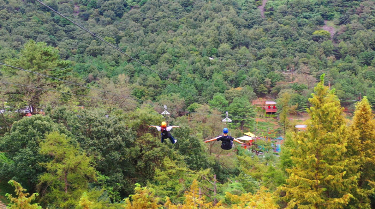 월아산 숲속의 진주