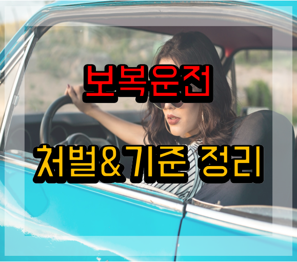  보복운전 기준 그리고 처벌